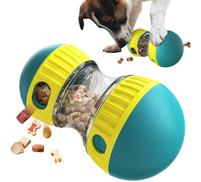 Play & Enrichment