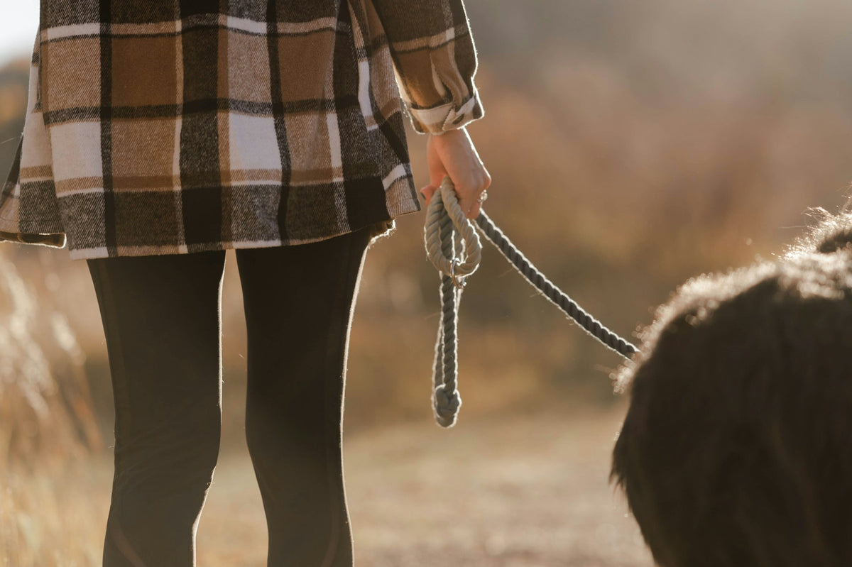 Person walking a dog on a leash outdoors