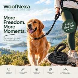 WoofNexa SafeStride reflective rope dog leash on an outdoor adventure